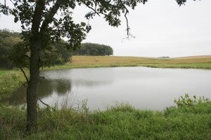 Bruce and Beth Andersland installed this pond, about an acre in size and five feet deep, to improve wetland for waterfowl on their farm in rural Emmons. -- Michelle Haacke/Albert Lea Tribune