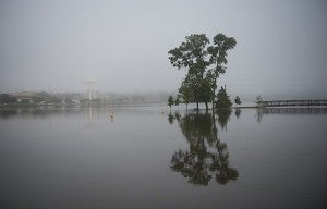 Part of Albert Lea was covered in fog this morning after days of rain. – Colleen Harrison/Albert Lea Tribune