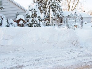 This is what March looked like in Lang’s gardens last year. - Carol Hegel Lang/Albert Lea Tribune