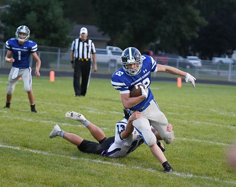 Vikings beat Raiders after rain delay - Albert Lea Tribune