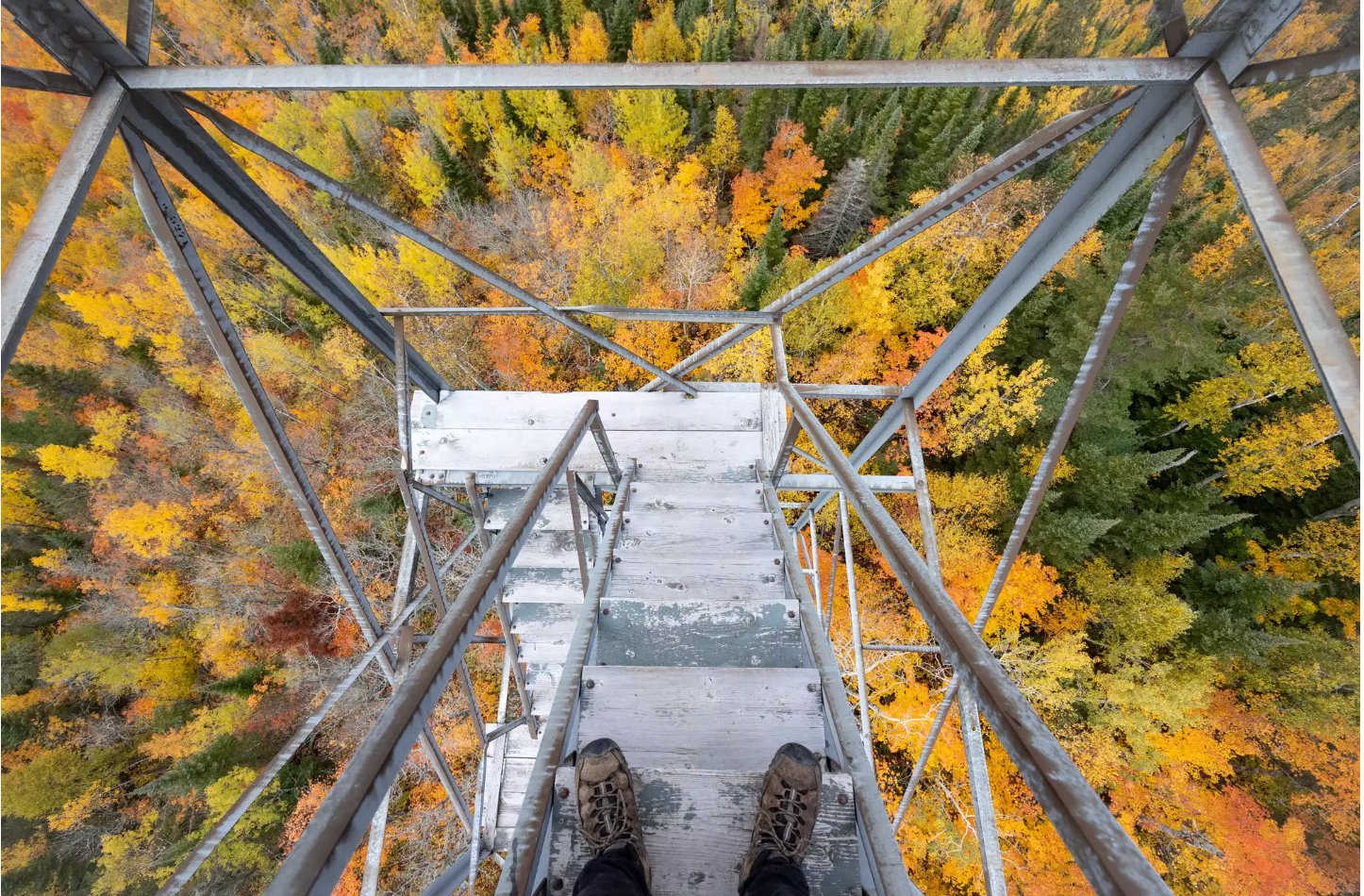 Let the hues begin: Fall foliage colors coming to Minnesota in 3, 2, 1 ...